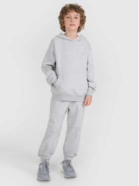4F 4F Spodnie dresowe BASIC+ Szary Oversize