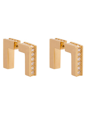 Elisabetta Franchi Elisabetta Franchi Uhani OR-26K-61E2-V230 Zlata