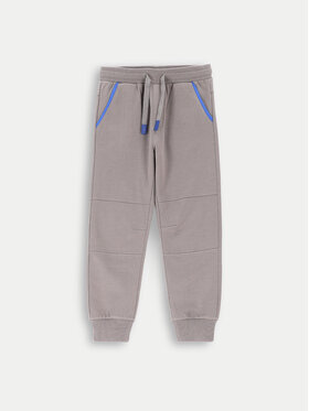 Coccodrillo Coccodrillo Pantaloni trening ZC4120201FBK Gri Regular Fit