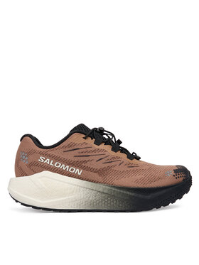 Salomon Salomon Scarpe running Aero Blaze 4 L45400500 Marrone
