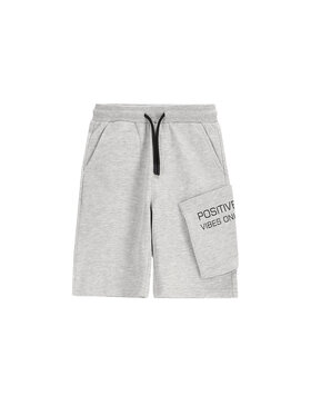 Coccodrillo Coccodrillo Pantaloni scurți sport WC5120501VBC Gri Regular Fit