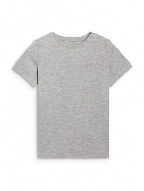 4F 4F T-Shirt BASIC+ Szary Regular Fit