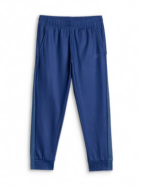 4F 4F Spodnie dresowe AQUA FORCE Kolorowy Regular Fit