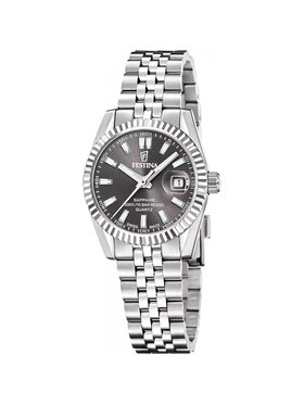 Festina Festina Hodinky F20087-6 Stříbrná