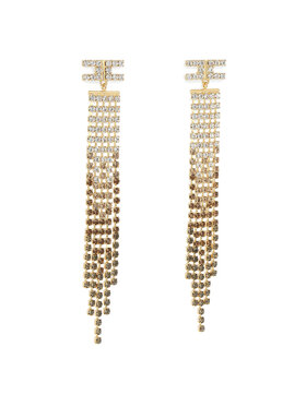 Elisabetta Franchi Elisabetta Franchi Boucles d'oreilles OR-29M-32E2-V200 Or