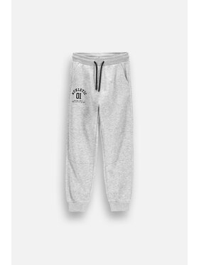 Coccodrillo Coccodrillo Teplákové kalhoty ZC6120104ABJ-003 Šedá Regular Fit