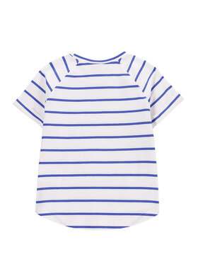 T-Shirt Coccodrillo φωτογραφία