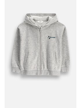 Coccodrillo Coccodrillo Mikina ZC6132401SBK-019 Šedá Regular Fit
