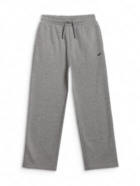 4F 4F Spodnie dresowe BASIC+ Szary Regular Fit