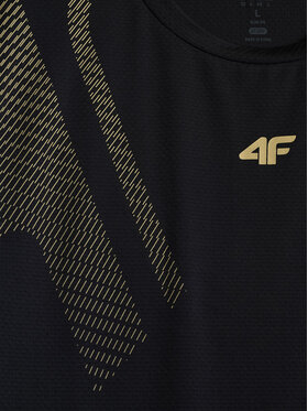 4F 4F Koszulka techniczna GOLDEN WARRIOR Czarny Regular Fit