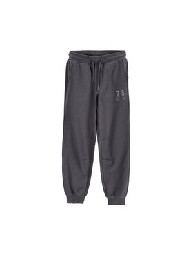 Coccodrillo Coccodrillo Spodnie dresowe ZC6120101VBA-020 Szary Regular Fit