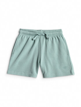 4F 4F Szorty sportowe BASIC+ Turkusowy Regular Fit