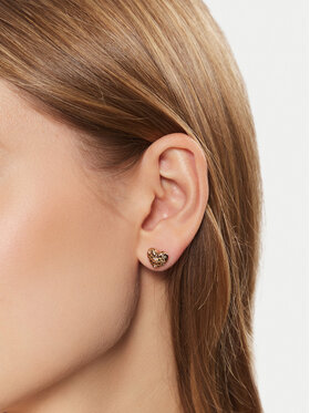 Σκουλαρίκια Coach φωτογραφία