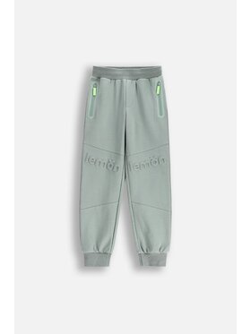 Lemon Explore Lemon Explore Spodnie dresowe WL5120101ACB-012 Zielony Regular Fit