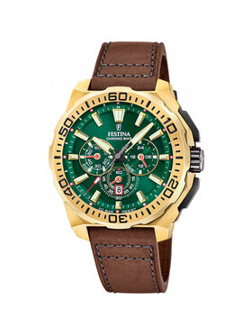 Festina Festina Hodinky F20728-2 Hnedá
