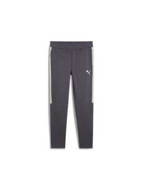 Puma Puma Spodnie dresowe 681702 Szary Regular Fit