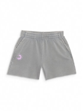 4F 4F Szorty sportowe SWELLS OF THE OCEAN Szary Regular Fit