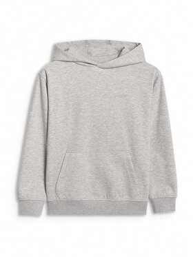 4F 4F Bluza BASIC+ Szary Loose Fit