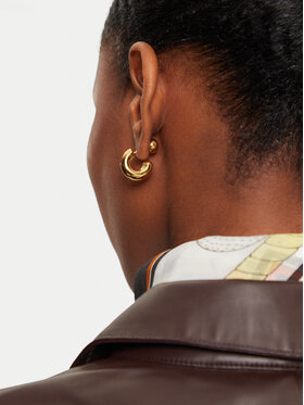 Σκουλαρίκι Aldo φωτογραφία