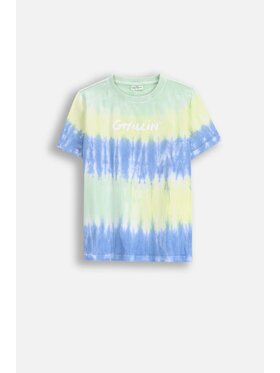 Coccodrillo Coccodrillo T-Shirt WC5143204IBJ-022 Kolorowy Regular Fit