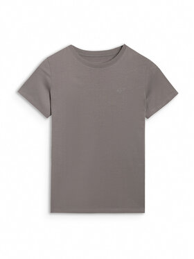 4F 4F T-Shirt BASIC+ Szary ciemny Regular Fit