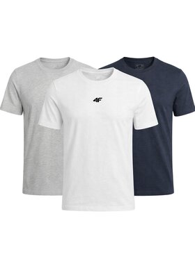 4F 4F T-Shirt Z-TTSHM3947-3-E Biały Regular Fit