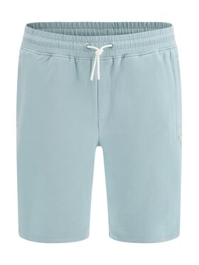 Guess Guess Športové kraťasy Arlo Z2YD02 K6ZS1 Zelená Loose Fit