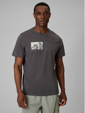 4F 4F T-Shirt TREKKING Szary Regular Fit