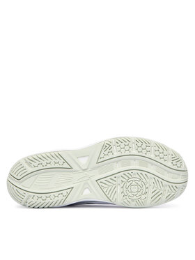 Παπούτσια Σάλας Mizuno φωτογραφία