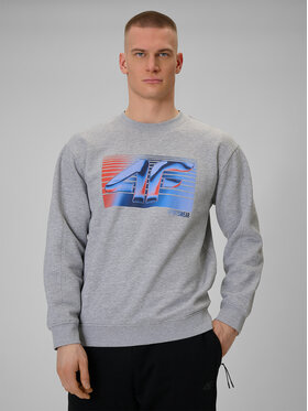 4F 4F Bluza WINTER CODE Szary jasny Regular Fit