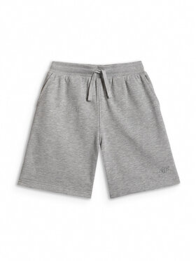 4F 4F Szorty sportowe BASIC+ Szary Regular Fit