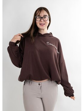 DKaren Sport DKaren Sport Bluza Eq30 001 Brązowy Classic Fit