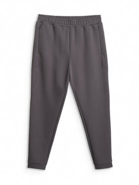 4F 4F Spodnie dresowe IN MOTION Szary Regular Fit