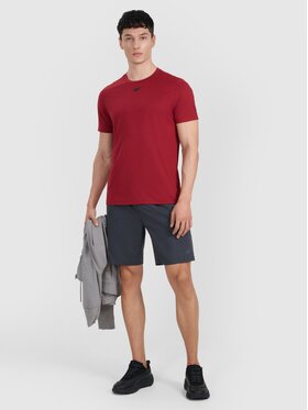 4F 4F Szorty 4FWMM00TFSHM1310-22M Szary Regular Fit