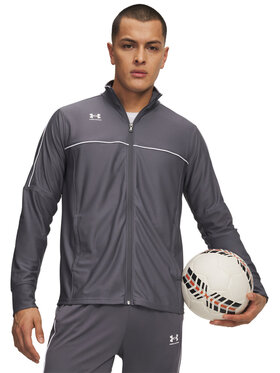 Under Armour Under Armour Bluza 6014168 Szary Regular Fit