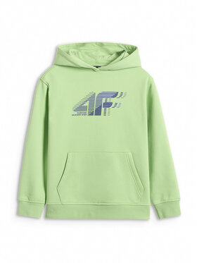 4F 4F Bluza BASIC+ Zielony Oversize