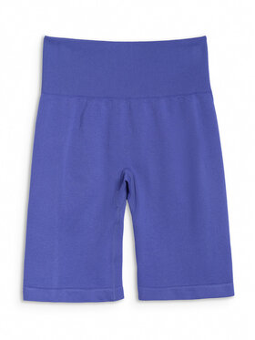 4F 4F Legginsy MULTI ACTIVE Niebieski Slim Fit