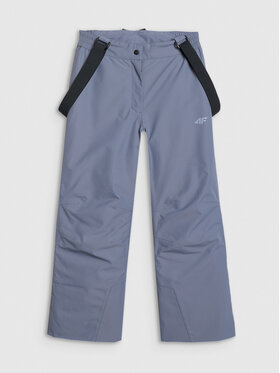 4F 4F Spodnie narciarskie BASIC SKI Szary Regular Fit