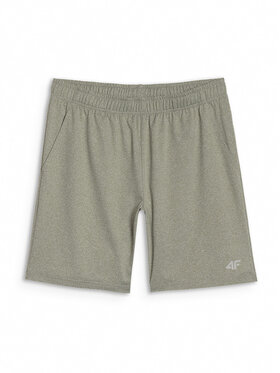 4F 4F Sportovní kraťasy MULTI ACTIVE Khaki Regular Fit