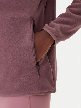 Fleece The North Face φωτογραφία