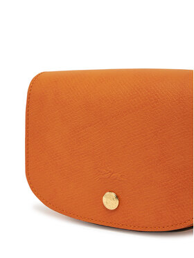 Τσάντα Longchamp φωτογραφία