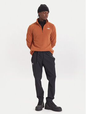 Fleece The North Face φωτογραφία