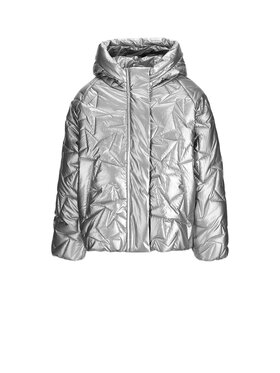 Coccodrillo Coccodrillo Zimné bundy ZC6152104OGK-024 Strieborná Regular Fit