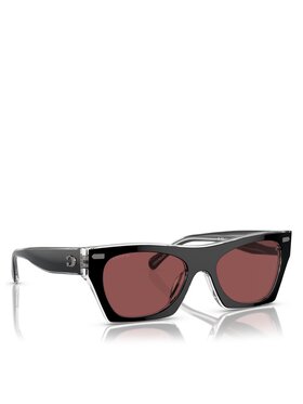 Coach Coach Sonnenbrillen 0HC8389U Schwarz