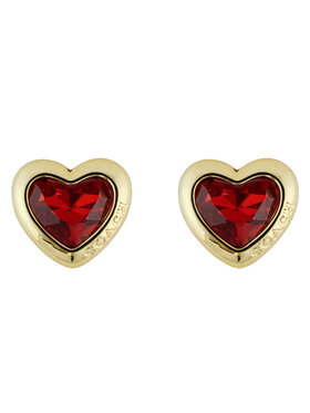 Coach Coach Ohrringe 37422733 Goldfarben