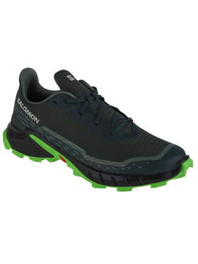 Salomon Salomon Buty Salomon Alphacross 5 Szary