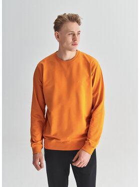 Pako Lorente Pako Lorente Bluza P22SN-2B-006 Pomarańczowy Oversize