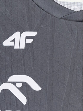4F 4F Koszulka techniczna TEAMWEAR Kolorowy Regular Fit