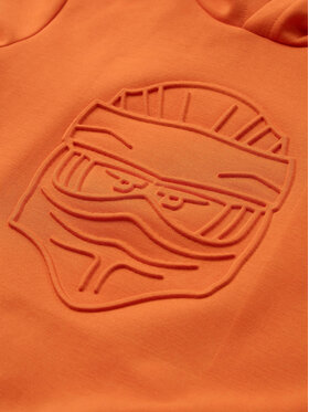 Μπλούζα LEGO φωτογραφία