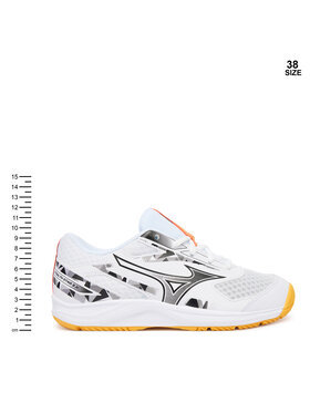 Παπούτσια Σάλας Mizuno φωτογραφία